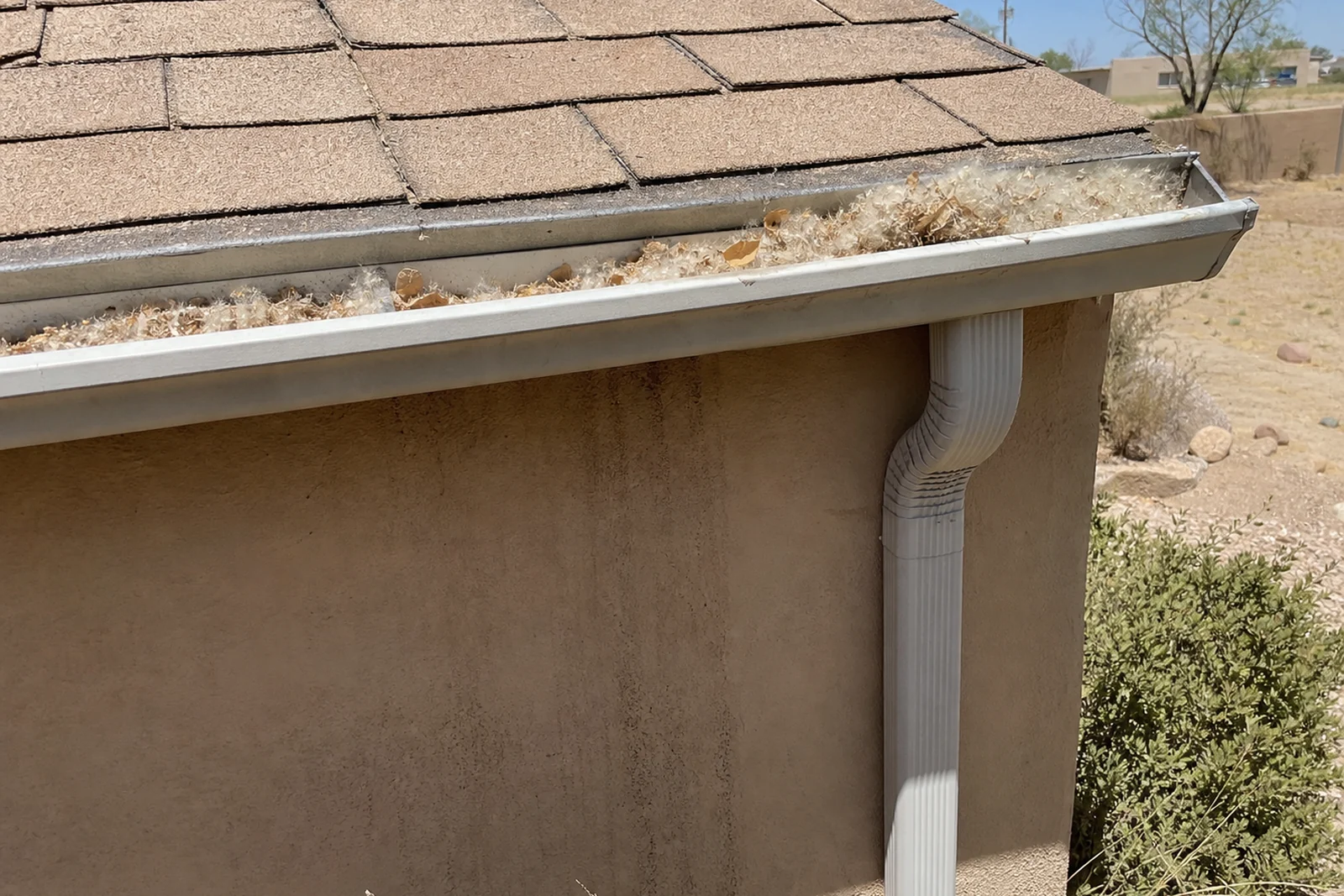 Gutter overflow monsoon downpour Roswell New Mexico Chaves County blocked cottonwood fluff July rain residential